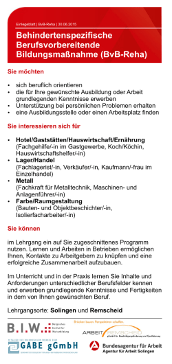 Einlegeblatt BvB-Reha neu einzeln.cdr