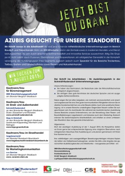 Jetzt bist du dran! - Schmidt