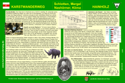 KARSTWANDERWEG HAINHOLZ Schlotten, Mergel Nashörner, Klima