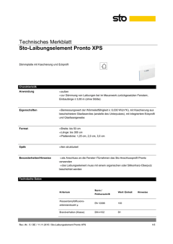 Technisches Merkblatt Sto-Laibungselement Pronto XPS