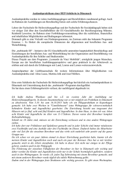 Auslandspraktikum einer HEP
