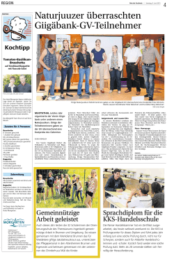 Medienbericht Bote der Urschweiz vom 06.06.2015