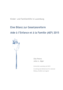 Eine Bilanz zur Gesetzesreform Aide &agrave; l`Enfance et &agrave; la Famille (AEF