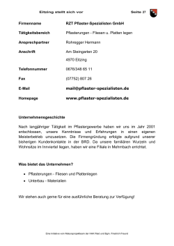 Firmenname RZT Pflaster-Spezialisten GmbH Tätigkeitsbereich