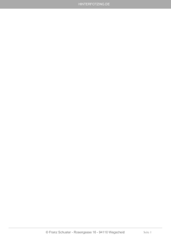 Hinterfotzing PDF