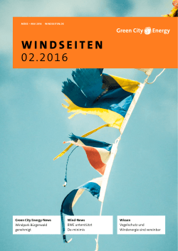 Green City Energy-News Windpark Bürgerwald genehmigt Wind