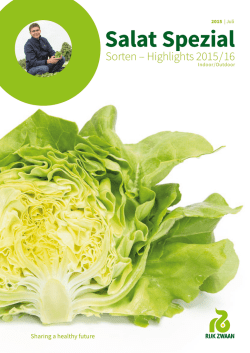 Salat Spezial