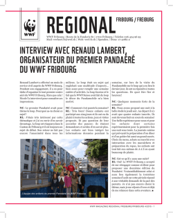 INTERVIEW AVEC RENAUD LAMBERT, ORGANISATEUR DU
