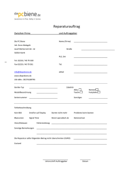 vorlage_reparaturauftrag biene neu