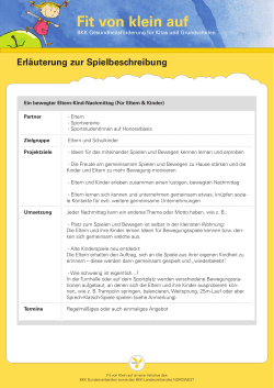 Erläuterung zur Spielbeschreibung