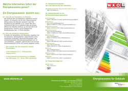 INFORMATIONSBLATT Energieausweis