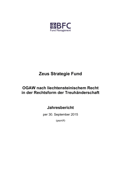 Jahresbericht - Zeus Strategie Fund