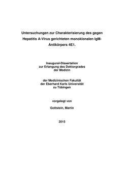 diss_martin gottstein