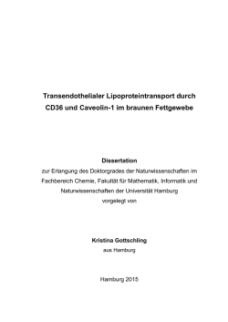 Dokument 1 - E-Dissertationen der Universit&auml;t Hamburg
