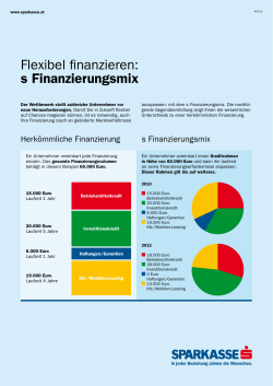Flexibel finanzieren: s Finanzierungsmix
