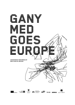 GANYMED GOES EUROPE_ICOM
