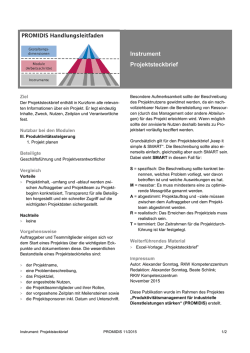 Instrument Projektsteckbrief