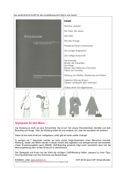 Kurzansicht Style-Guide als PDF
