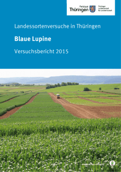 Blaue Lupine - Die Thüringer Landesanstalt für Landwirtschaft