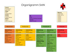 Organigramm SMN