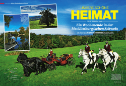 PDF, 3,1 MB - Mecklenburgische Seenplatte