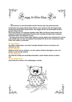 Huggy, die kleine kluge Eule