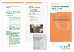 Flyer als PDF