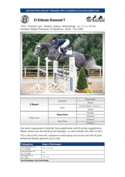 21 Kiltealy Diamond T - Top