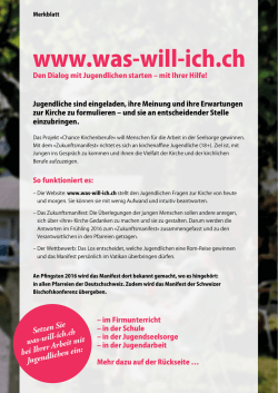 Merkblatt zum Zukunftsmanifest - Was-will