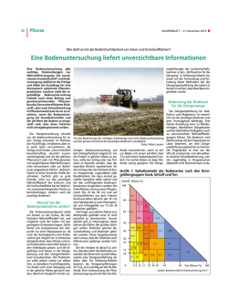 Eine Bodenuntersuchung liefert unverzichtbare Informationen