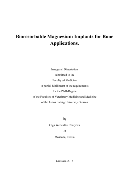 Bioresorbable magnesium implants for bone applications