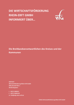 die wirtschaftsf&ouml;rderung rhein
