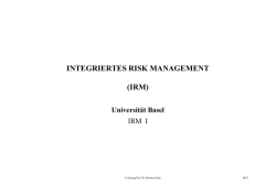 integriertes risk management (irm)