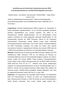 Identifizierung und funktionelle Charakterisierung eines GRK2