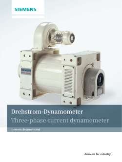 Drehstrom-Dynamometer Three