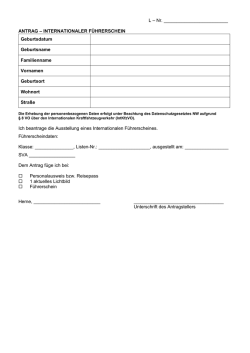 Antrag Internationaler Führerschein