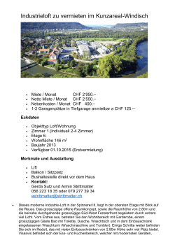 Industrieloft zu vermieten im Kunzareal-Windisch