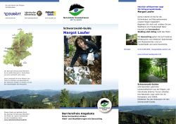 Flyer - schwarzwaldguide.info