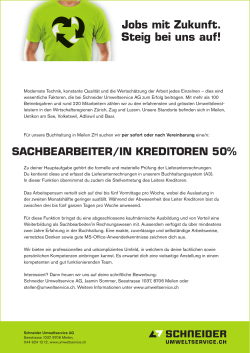 Stelleninserat als PDF - Schneider Umweltservice AG
