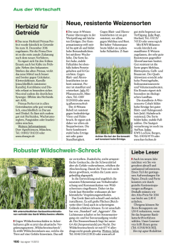 Neue, resistente Weizensorten Herbizid für Getreide