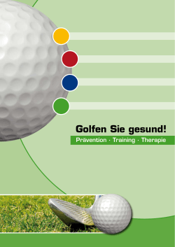 Golfeinlage - weitere Informationen als PDF.