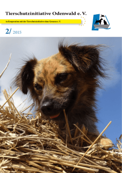 Tierschutzinitiative Odenwald e. V. 2015