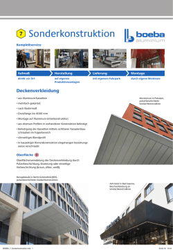 Info-PDF zu Sonderkonstruktion zum