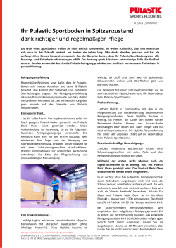 Pulastic Reinigungsempfehlung algemein_DEU