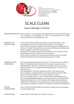 scale clean