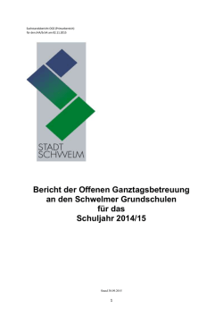 Jahresbericht OGS Schwelmer GS 2014/15