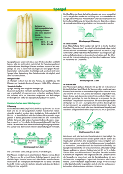 Spargel - Gärtner Pötschke