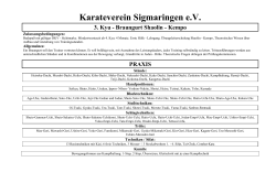 Karateverein Sigmaringen eV 3. Kyu - Braungurt Shaolin