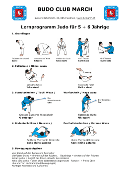 Lernprogramm Judo für 5