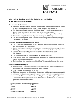 Infoblatt f&uuml;r ehrenamtliche Helferinnen und Helfer in der